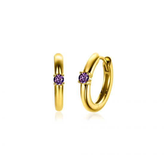 FEBRUARI oorringen 13mm gold plated met geboortesteen paars amethist zirconia 
