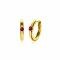 JULI oorringen 13mm gold plated met geboortesteen rood robijn zirconia 
