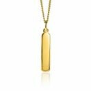 ZINZI zilveren hanger 14K geel verguld 32mm langwerpige plaat ZIH2213G (zonder collier)