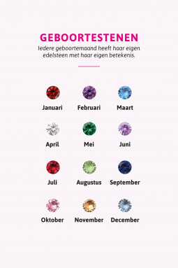 JULI oorbedels zilver met geboortesteen rood robijn zirconia (excl. oorringen)
