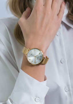 ZINZI horloge SOPHIE zilverkleurige wijzerplaat met datum, goudkleurige kast 38mm, stalen mesh band 14mm ZIW1433
