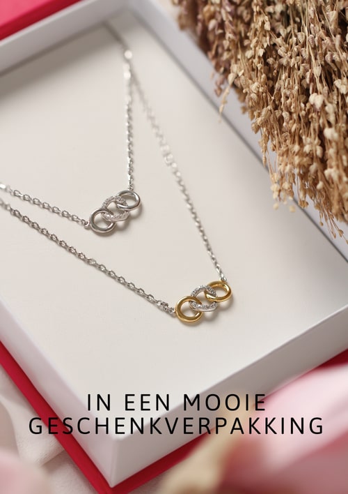 Vertellen overschot puur Kettingen • Shop de mooiste dames kettingen • ZINZI